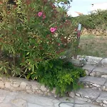 Tuja Appartamento