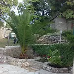 Tuja Apartamento *