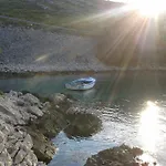 Tuja