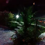 Tuja * Jadrtovac