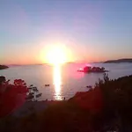 Tuja * Jadrtovac