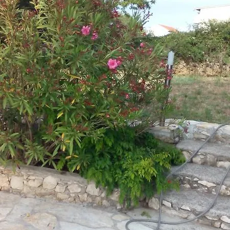 Tuja Apartman