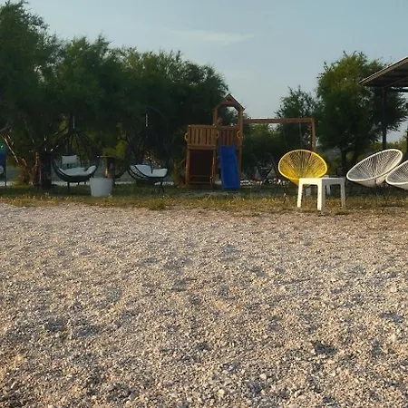 Tuja Jadrtovac