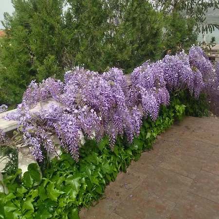 Appartamento Tuja