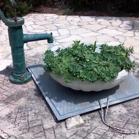 Tuja Appartamento Jadrtovac