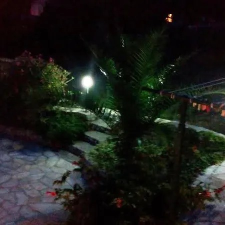 Tuja * Jadrtovac