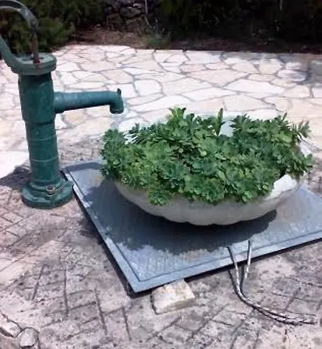 Tuja Apartamento Jadrtovac